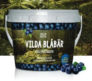 Blåbär Svenska Vilda Klass1 Sverige