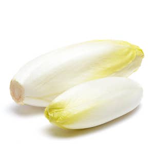 Sallad Endive Klass1 Nederländerna