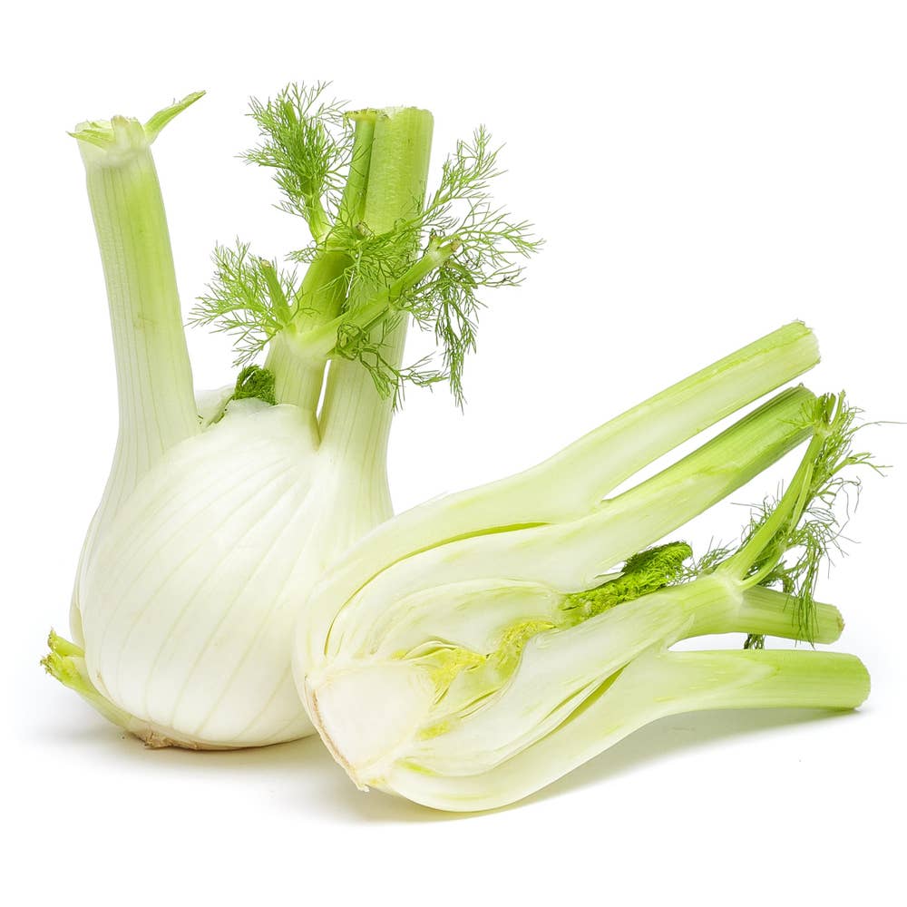 Fänkål Klass1 Italien