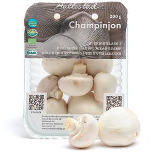 Champinjoner Sverige EKO/KRAV Klass1 Sverige