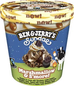 Ben & Jerry's Glass Marshmallow & S'more!