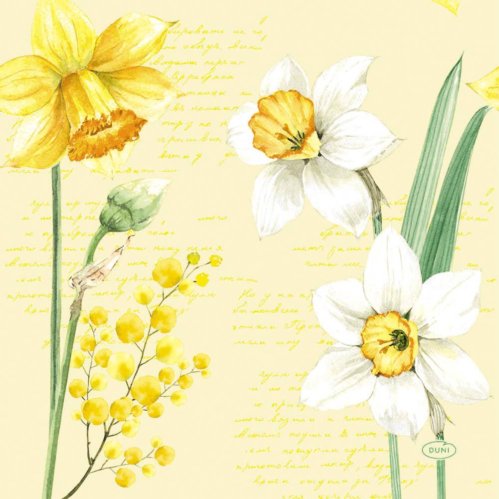 Duni Servett Spring Daffodil 3-lags 33x33cm