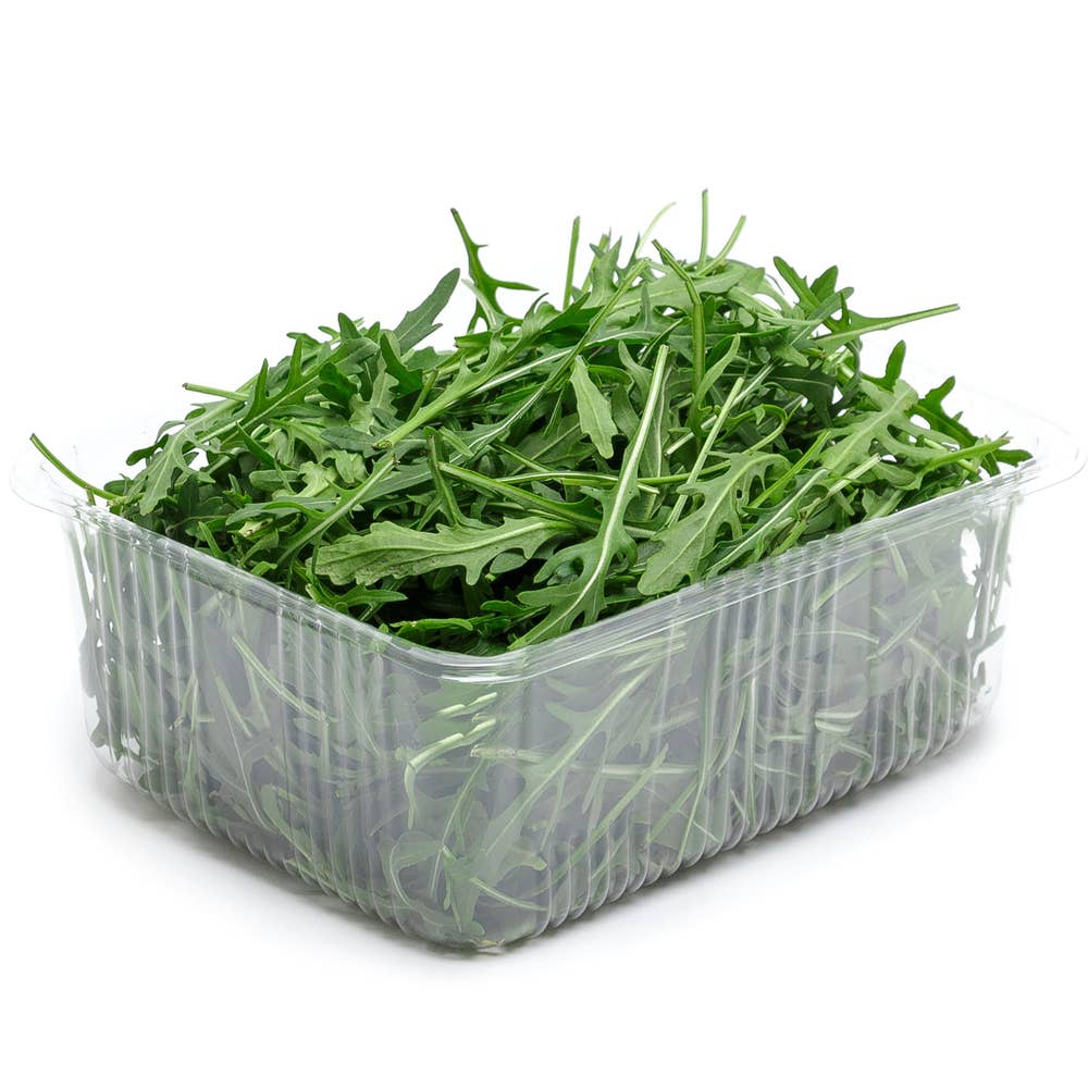 Ruccola Klass1 Sverige