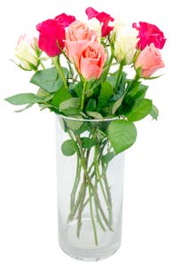 Mimea AS Rosor kallmix 12-pack 35 cm Kenya