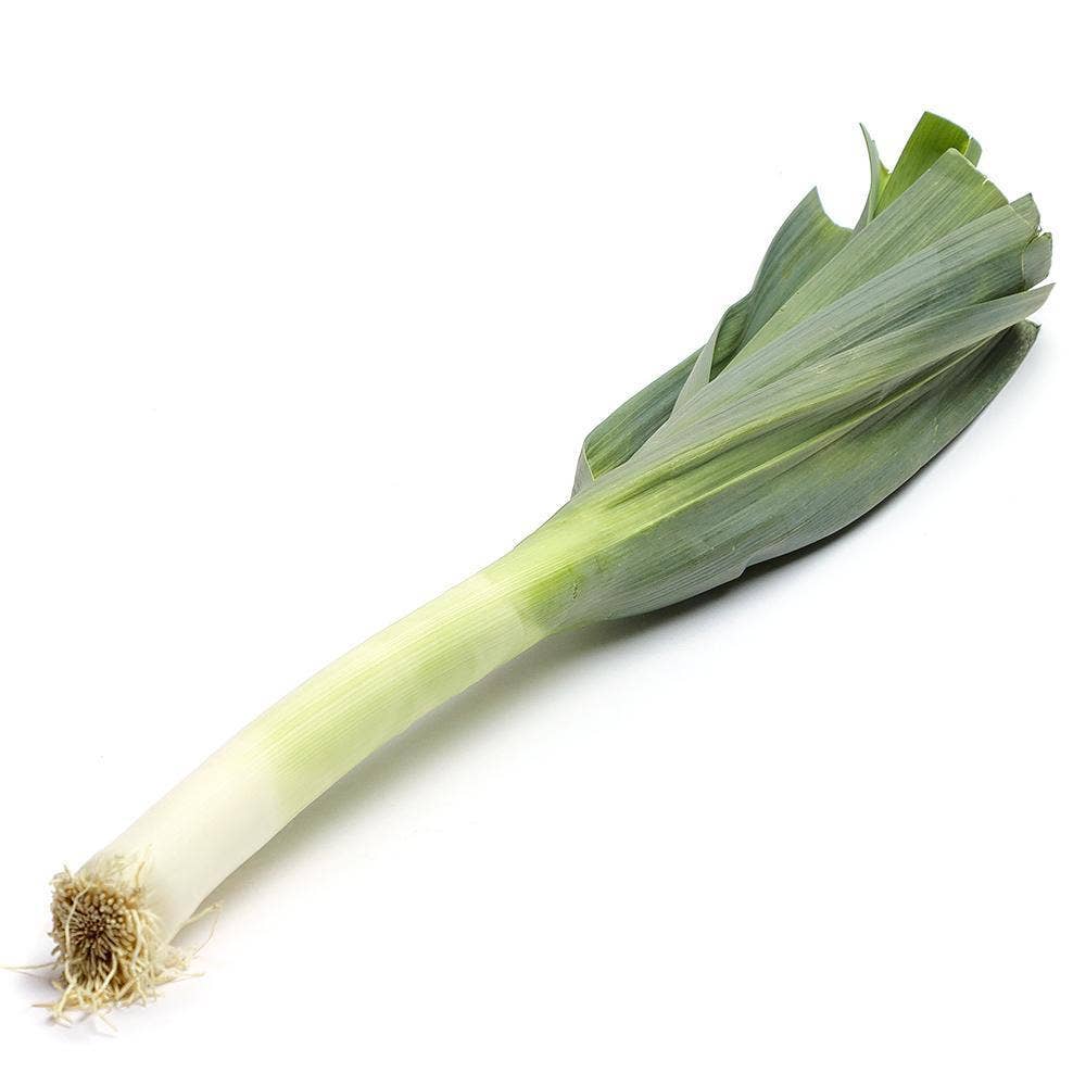 Purjolök Klass1 Nederländerna