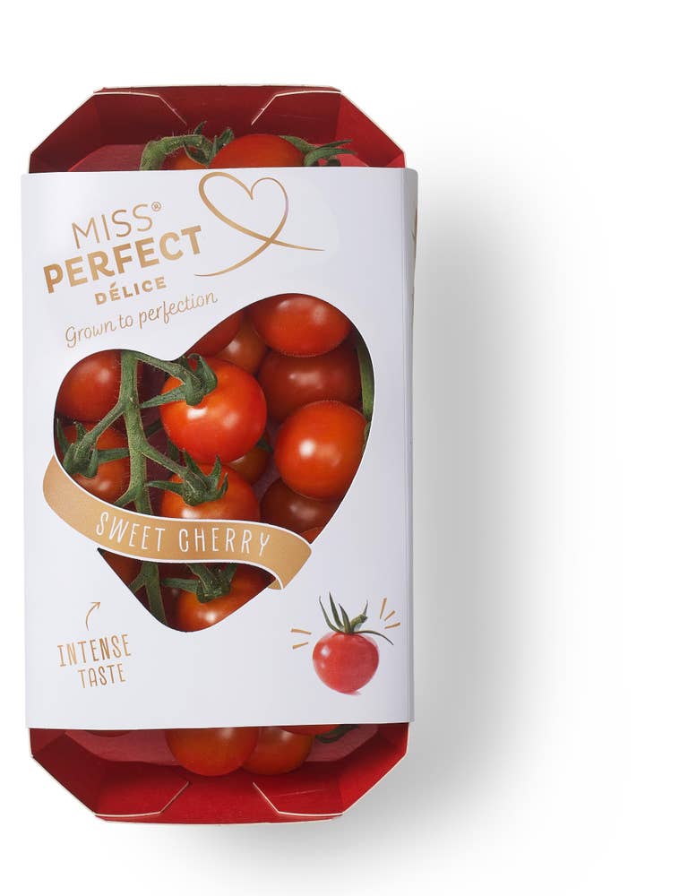 Körsbärstomater på kvist Miss Perfect Klass1 Belgien