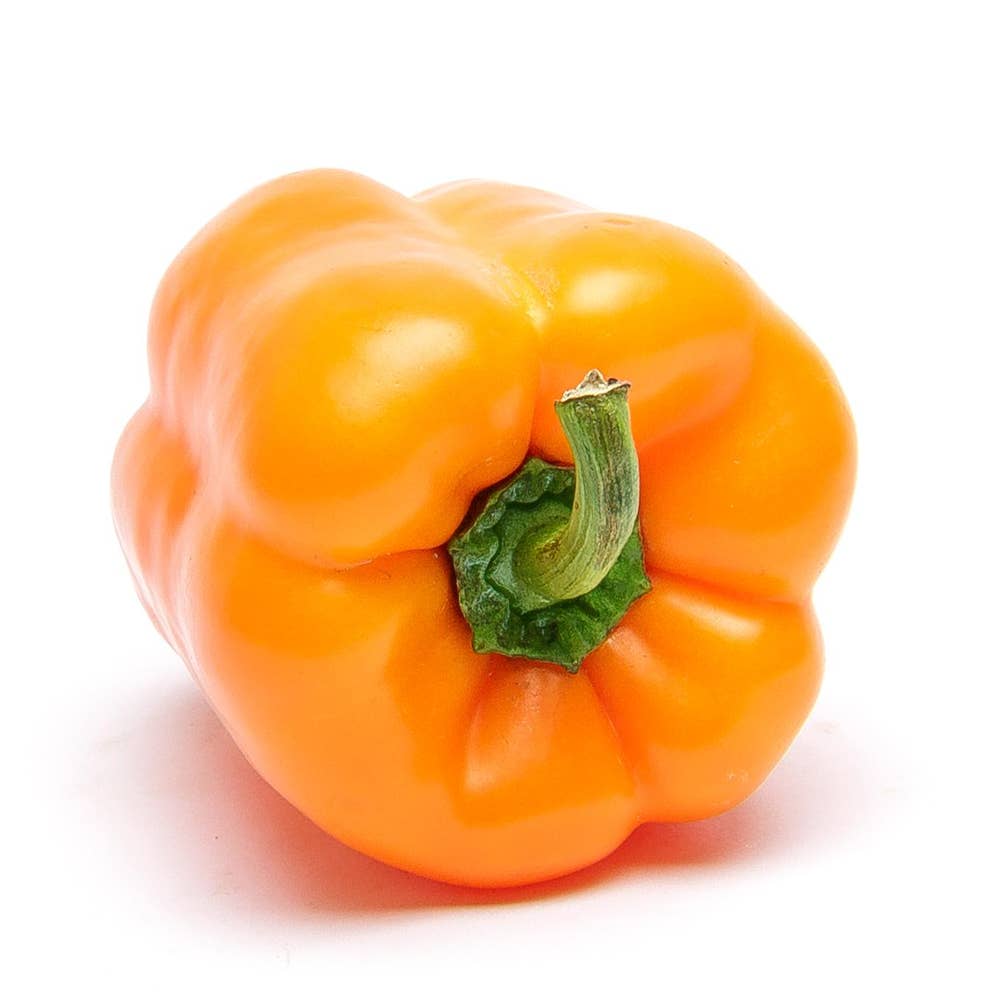 Paprika Orange Klass1 Spanien