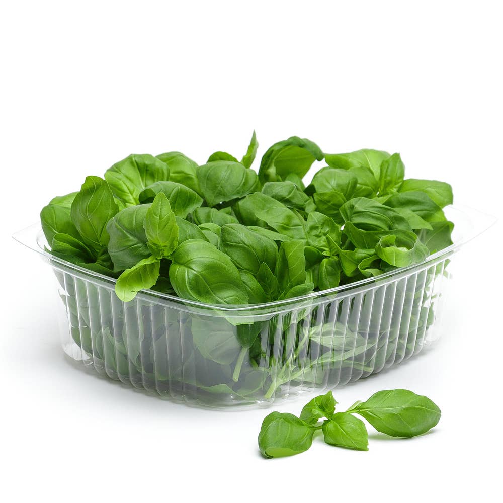 Orto Novo AB Färsk Basilika EKO ask Klass1