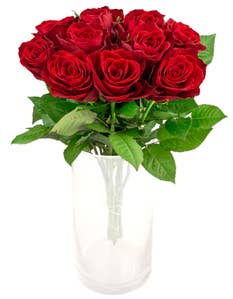 Mimea AS Rosor röda 10-pack Kenya