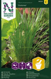 Nelson Garden Gräslök ‘Dolores’