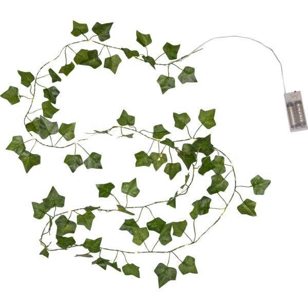 Ljusslinga Ivy