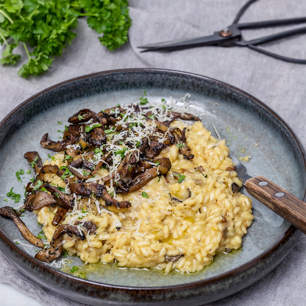 Krämig tryffelrisotto med krispig svamp