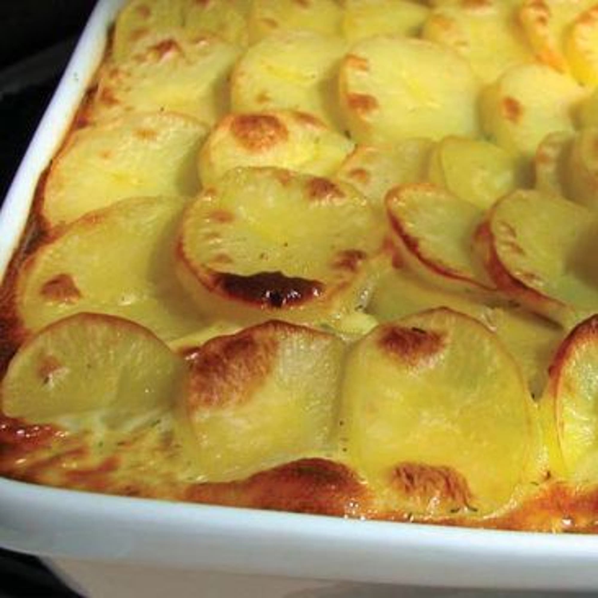 Tastelines laxpudding med färgglad kålsallad