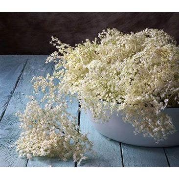 Fläderblomssaft - grundrecept