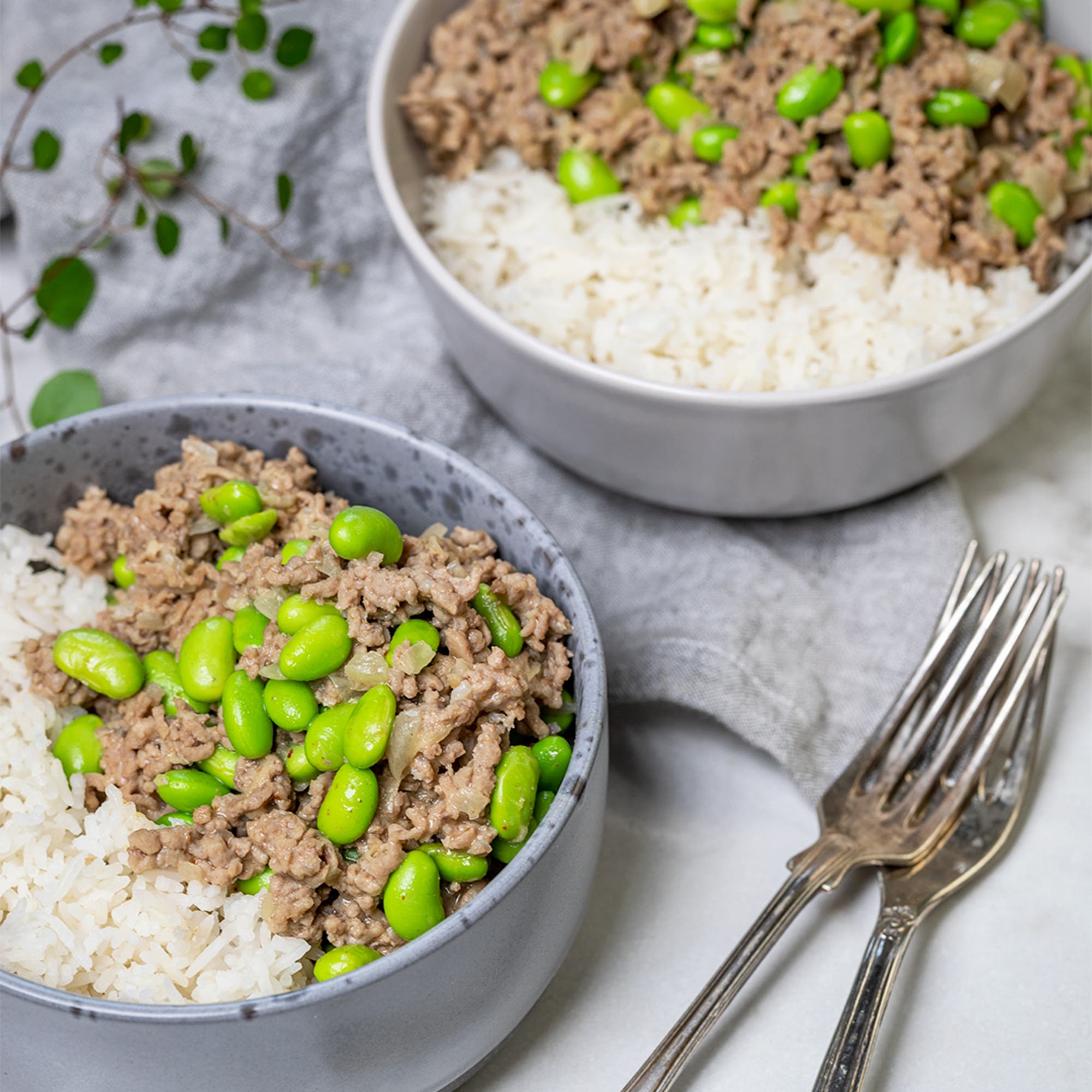 Snabb köttfärsgryta med sojabönor
