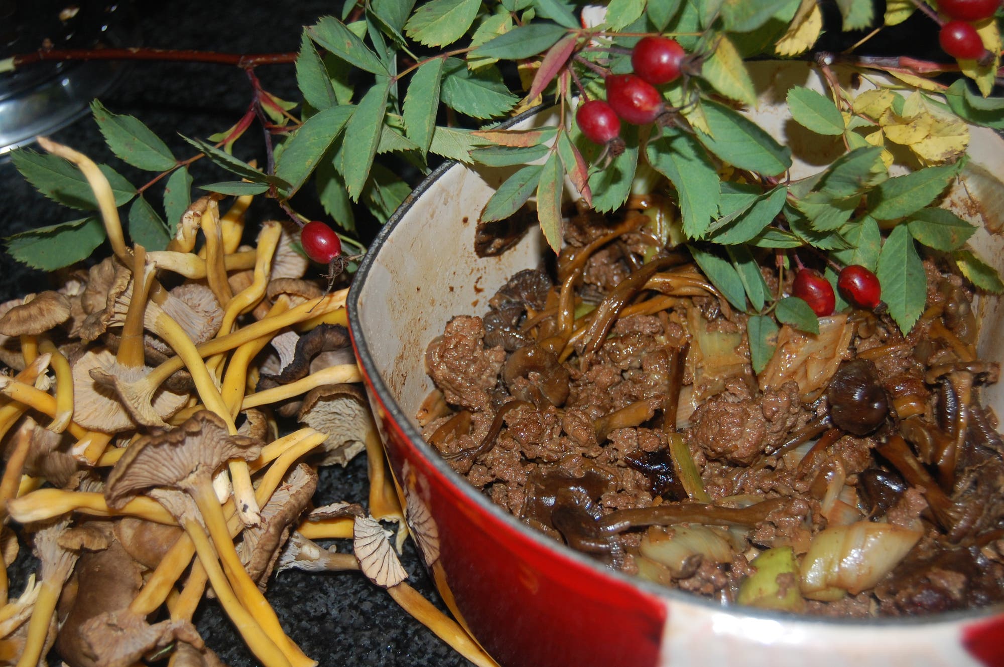 Älgfärsgryta med trattkantareller recept